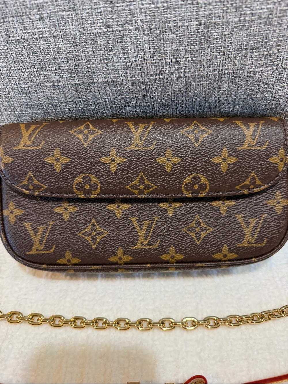 Louis Vuitton Ivy Bag/WOC